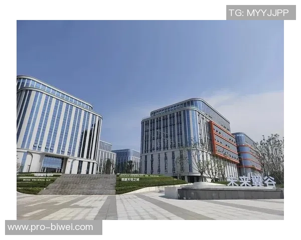 足球产业的经济价值探讨与未来发展前景分析